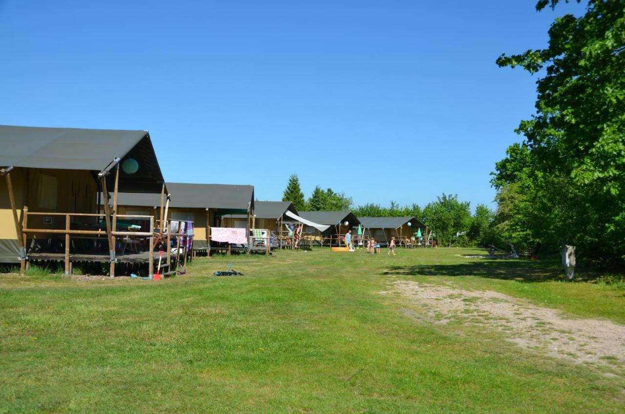 Siblu De Lente Van Drenthe Gasselte Ngoại thất bức ảnh
